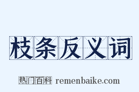 枝条反义词是什么意思的图片